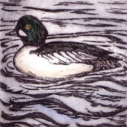 goldeneye